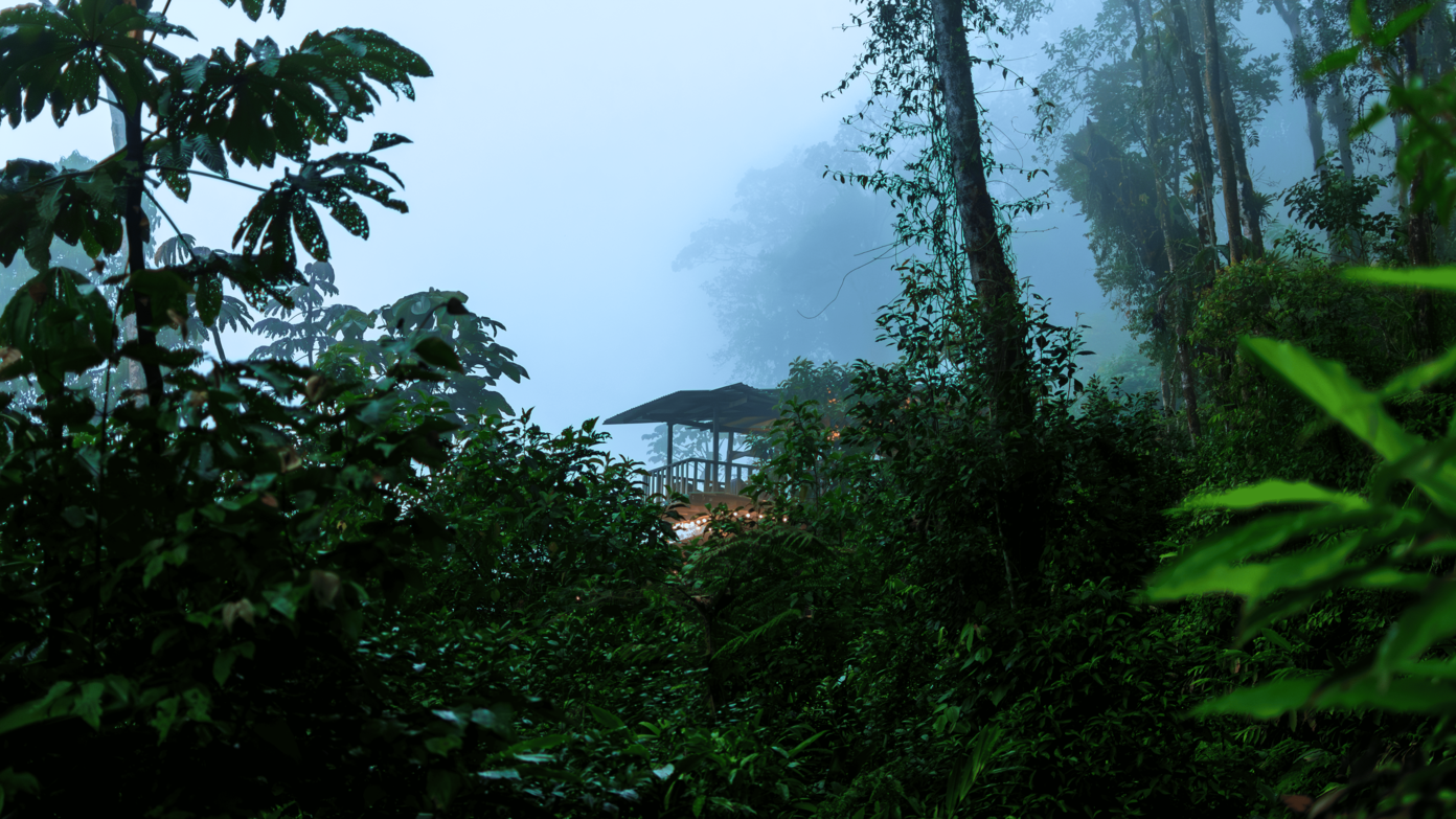 Bosque de niebla
